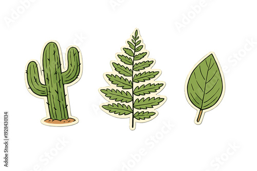 Three botanical stickers featuring a green saguaro cactus, a detailed fern frond, and a simple green leaf, all set against a solid black background with thick white borders.