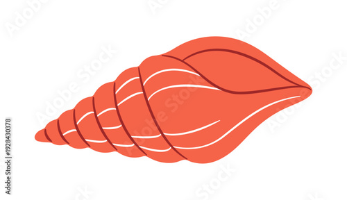 Orange cone seashell, flat style isolated. Marine vector clipart perfect for beach, summer, nautical design, summer branding, beach flyers, ocean themed designs, coastal decor. Vector illustration