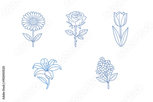 A collection of five botanical line art illustrations featuring a sunflower, rose, tulip, lily, and lilac. The blue ink drawings are set against a plain white background in a minimalist style.