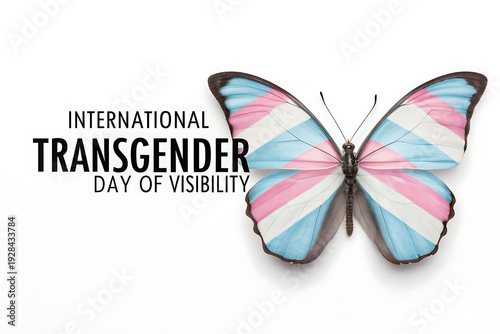 International Transgender Day Of Visibility Butterfly With Transgender Flag Wings Symbol

