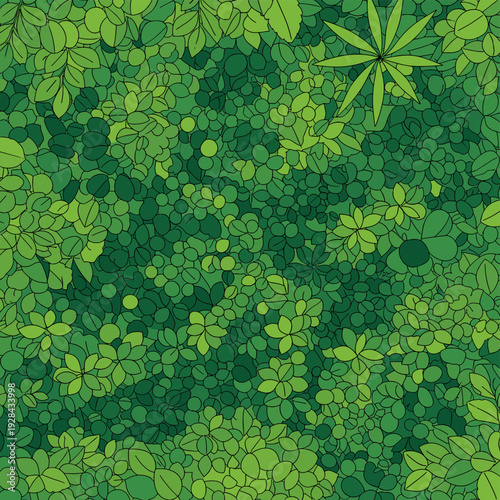A vibrant, top-down view of a dense, lush green forest canopy, showcasing a variety of leaf shapes and textures.