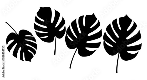 Black monstera leaves arranged in a simple graphic botanical illustration