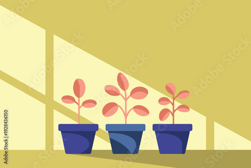 Three potted plants on a windowsill with sunlight with copy space