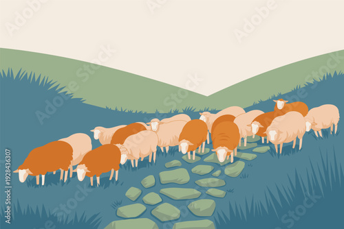 Flock of sheep grazing on green hillside with stone path with copy space