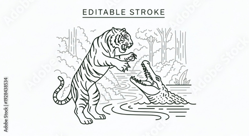 Tiger and crocodile clash in jungle water wildlife scene editable stroke vector illustration