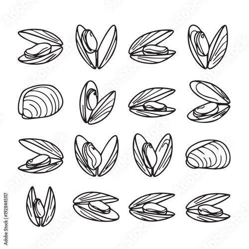 Collection of Hand Drawn Mussels Open and Closed Various Angles Seafood Illustration