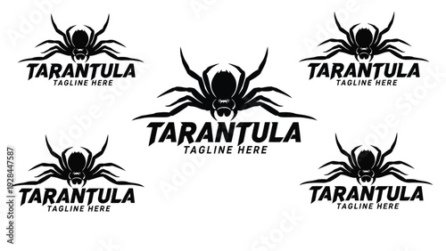 Creative logo designs featuring the word tarantula with stylized spider graphics Vector