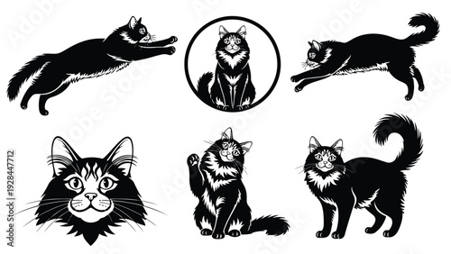Mythical and realistic felines in a mystical circle Vector