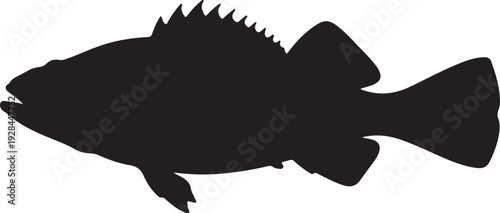 Silhouette sea fish design 