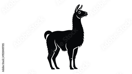 Black and white silhouette of a standing llama with long neck and fur Vector