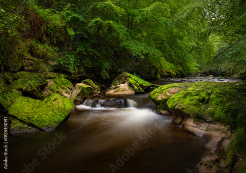 Waterfall in Rosslyn Glen, Scotland, surrounded by mossy rocks and lush green trees and vegetation