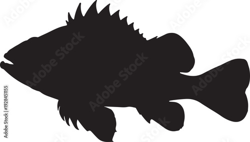 Silhouette sea fish design 