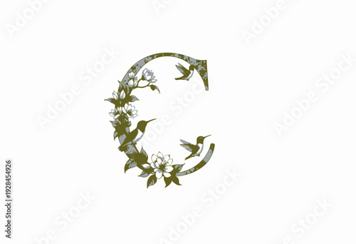 Illustrated Floral Monogram with Hummingbirds and Blossoming Flowers Forming a Graceful Alphabet Letter C Design