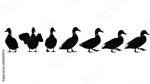 A line of silhouetted ducks walking in a single-file formation against a plain background Vector