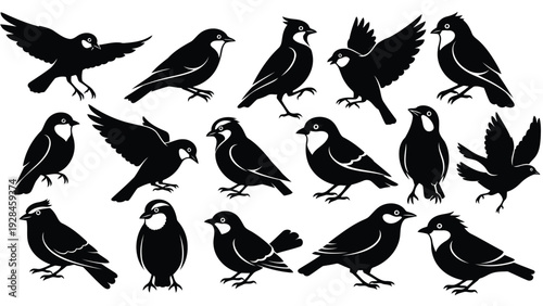 Black and white flock of birds in various dynamic poses against a plain background Vector