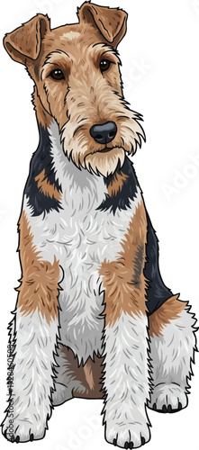 Wire Fox Terrier dog sitting tilting head curious attentive illustration
