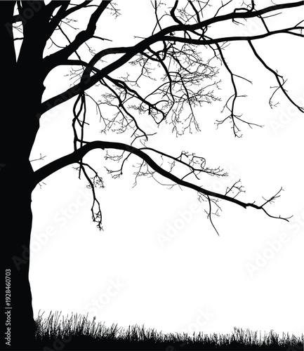 Black bare tree silhouette with detailed branches and grass ground, silhouette drawing flat vector illustration, nature landscape element on white