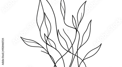 Minimalist line drawing of leafy plant branches on white background simple elegant botanical illustration