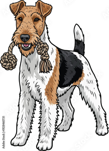 Wire Fox Terrier dog holding chew rope toy playful illustration