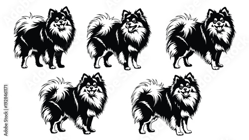 Six stylized black silhouettes of birds in mid-flight against a plain background Vector