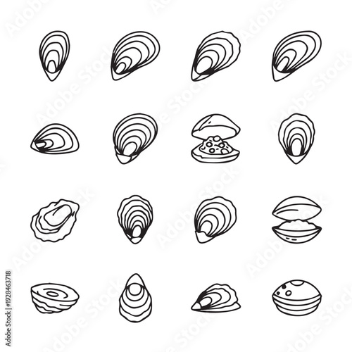 Collection of Oyster Illustrations Various Styles Isolated on White Background