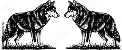 Black and white wolf illustration, two symmetrical wolves facing each other on grass, detailed fur artwork, animal design, nature symbolism drawing