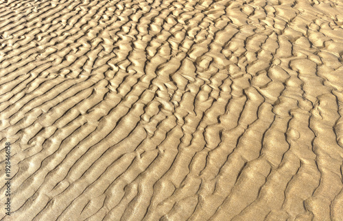 Golden sand texture with natural ripple patterns in warm sunlight
