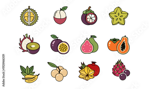 A vibrant collection of fruit illustrations, showcasing various tropical fruits in a clean and modern style, presented on a simple background from a straightforward viewpoint