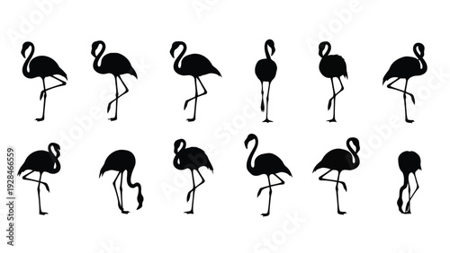 Silhouettes of elegant flamingos standing in a single-file formation against a plain background Vector
