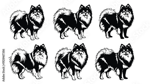 Black and white silhouettes of cats in various dynamic poses against a plain background Vector