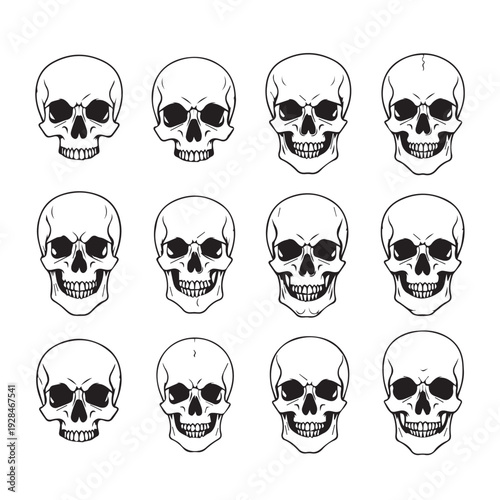 Collection of twelve human skull illustrations on white background simple line art