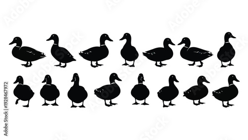 A collection of diverse duck silhouettes in a neat formation. Vector