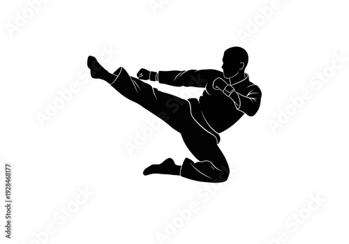 Silhouette of a martial artist performing a dynamic high kick in mid-air.