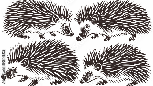 A group of four monochrome hedgehogs arranged in a square shape, on a plain white background