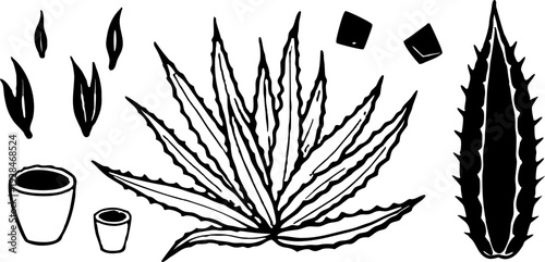 A watercolor illustration featuring a collection of Aloe Vera plants and cut pieces. The image showcases several whole Aloe Vera plants with long, pointed, green leaves, emanating from a central base,