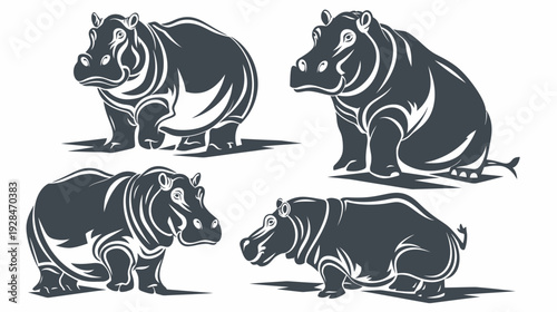 Stylized illustrations of hippopotamuses in different poses, rendered with clean lines and shadows