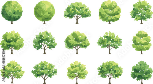 Collection of green leafy trees isolated on white background, diverse deciduous tree set for landscape design, nature illustration, forest elements, botanical vector style