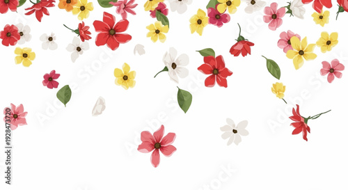 Set of hand drawn floral elements and seamless flower patterns on white background