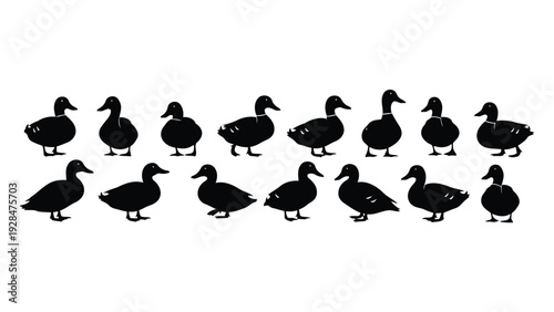 Silhouettes of ducks swimming in a neat formation across a plain background Vector
