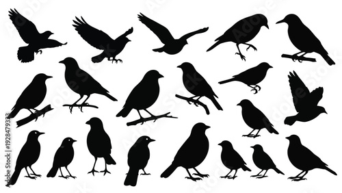 A flock of black birds scattered across a light background in mid-flight formation Vector