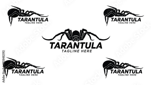 Tarantula-themed logo designs with stylized spider illustrations and brand name Vector