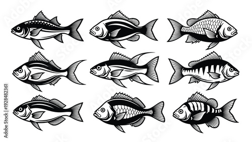 School of diverse fish swimming in a coordinated manner through the ocean waters Vector