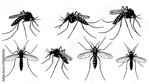 Illustration of a swarm of mosquitoes in flight against a plain background Vector