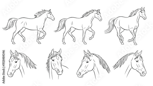 Whimsical line drawings of various animals in playful and dynamic poses Vector