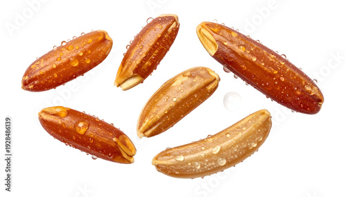 Close-up studio shot of several grains of brown rice, with water droplets on a transparent background