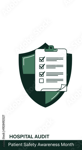 A Conceptual Visual Depicting Patient Safety Audit, Focusing on Healthcare Regulations and Standards
