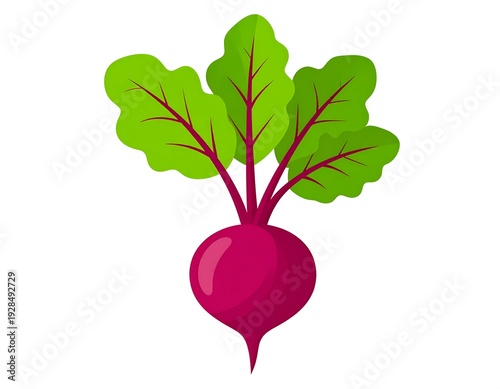 Vibrant Beetroot Illustration - A Fresh and Healthy Vegetable Icon.