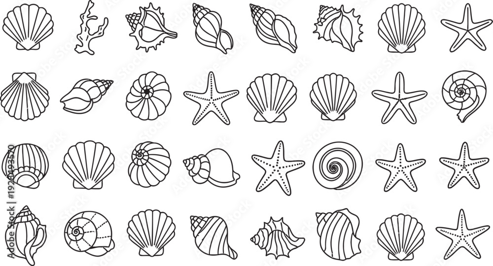Obraz premium Collection of various seashells and starfish illustrations isolated on transparent background