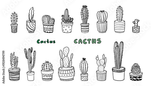 Set of different cactus. Cacti. House plants. Herbs in pot, indoor plants, small plants, gardening, potted plant. Hand drawn