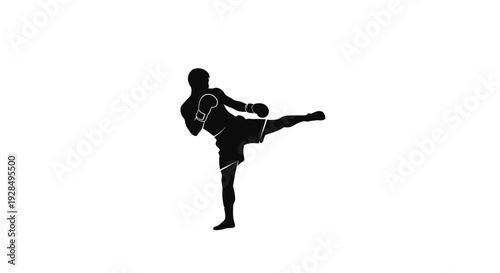 Silhouette of a Martial Artist Performing a High Kick